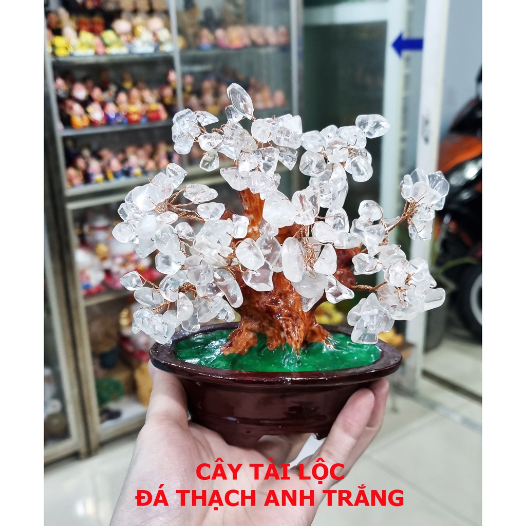 Cây Tài Lộc bằng đá màu trắng tự nhiên size 16cm